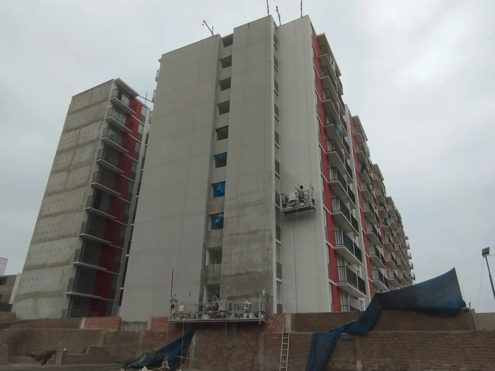 imagen 01 del proyecto cipreses